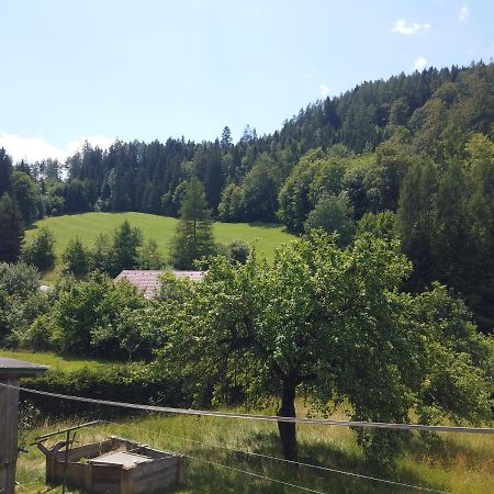 Ferienhaus Oma Hase Murzzuschlag Bagian luar foto